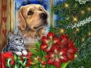 Christmas with Kitten and Dog by Donna Race