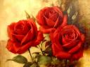 Red Roses by Igor Levashov
