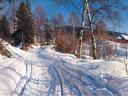 Sunlit Winter Landscape by Peder Monsted