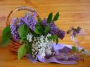 Lilac in Basket Still Life