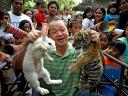 Rabbit and Tiger at Malabon Zoo in Northern Metro Manila Philippines