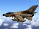 Royal Air Forces Panavia Tornado GR1A Foxy Killer