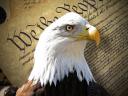 Bald Eagle Symbol of Freedom Wallpaper