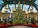 Christmas Tree at Bellagio Conservatory and Botanical Gardens Las Vegas Nevada