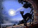 Halloween Evil Cat at Moonlight