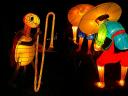Lantern Festival Cricket in Rice Plantation Albert Park Auckland New Zealand