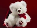 Valentines Day Gift Teddy Bear